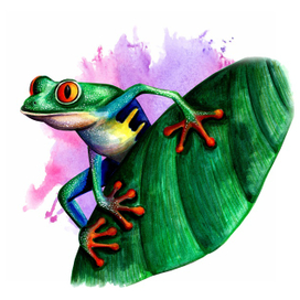 древесная лягушка