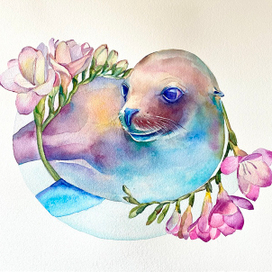 Морской котик