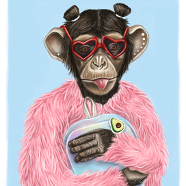  Шимпанзе Никки