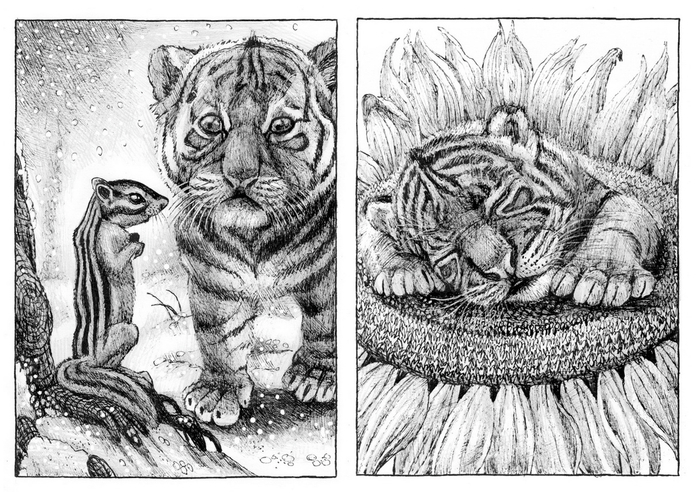 Ю. Коваль. Сказка про тигрёнка.