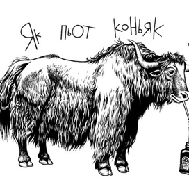 Sarlyk drinks brandy