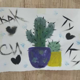 Кактусы