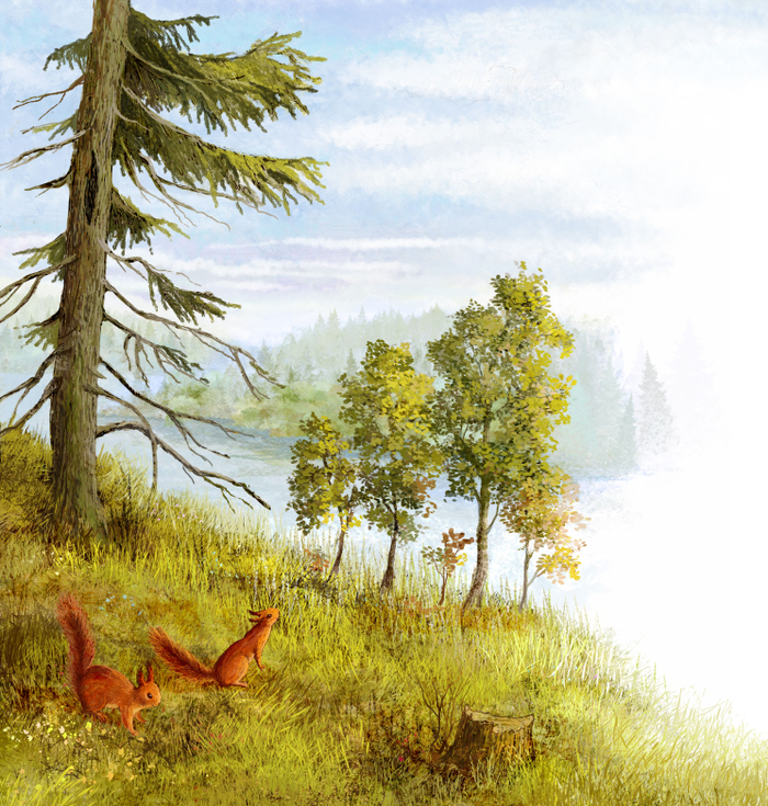 Лесная сказка