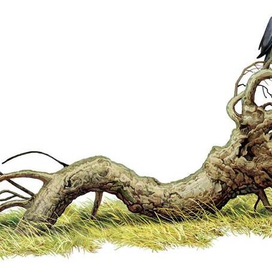 "Сказ... " Концовка