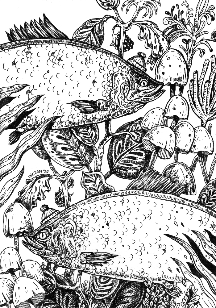 Подводные джунгли