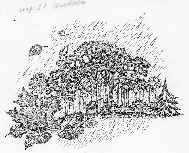 рабочая тетрадь по литературе