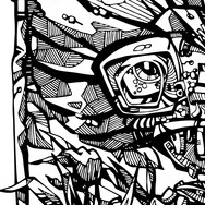 Колорадский жук