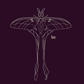 Эскиз с фоном