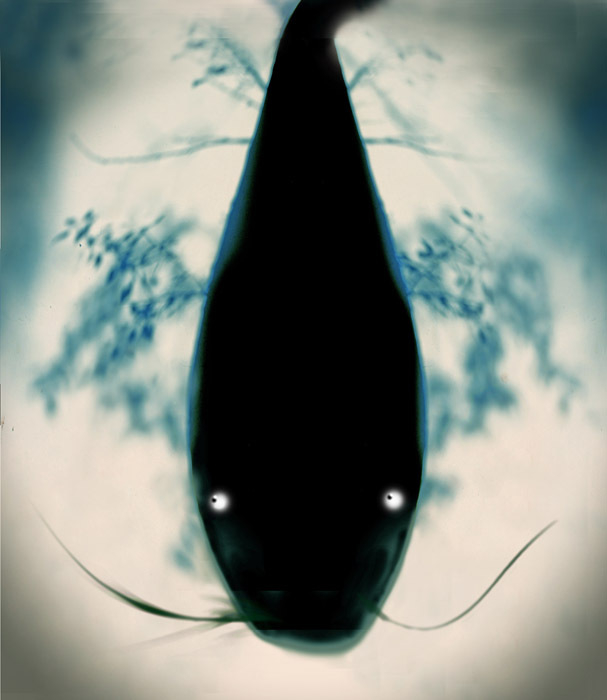 мысли о глубоком