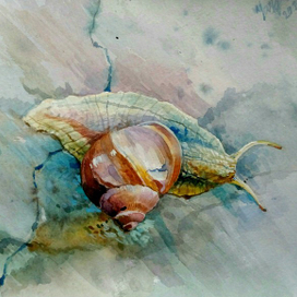 С приветом из лета