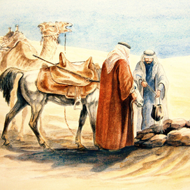 Сначала коню...