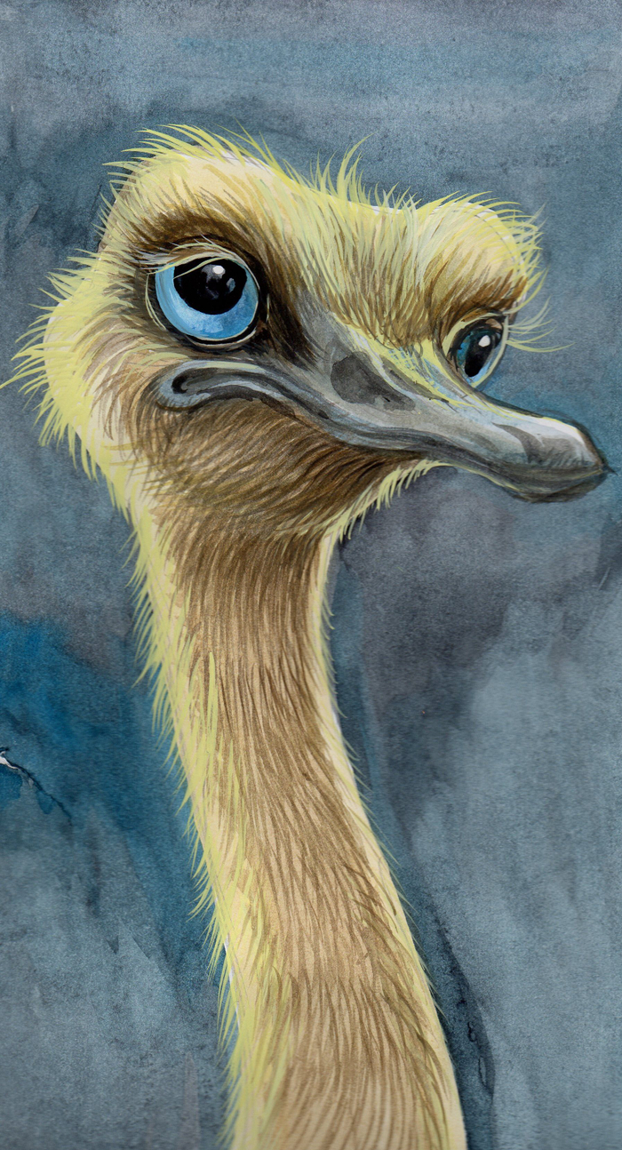 страусёнок