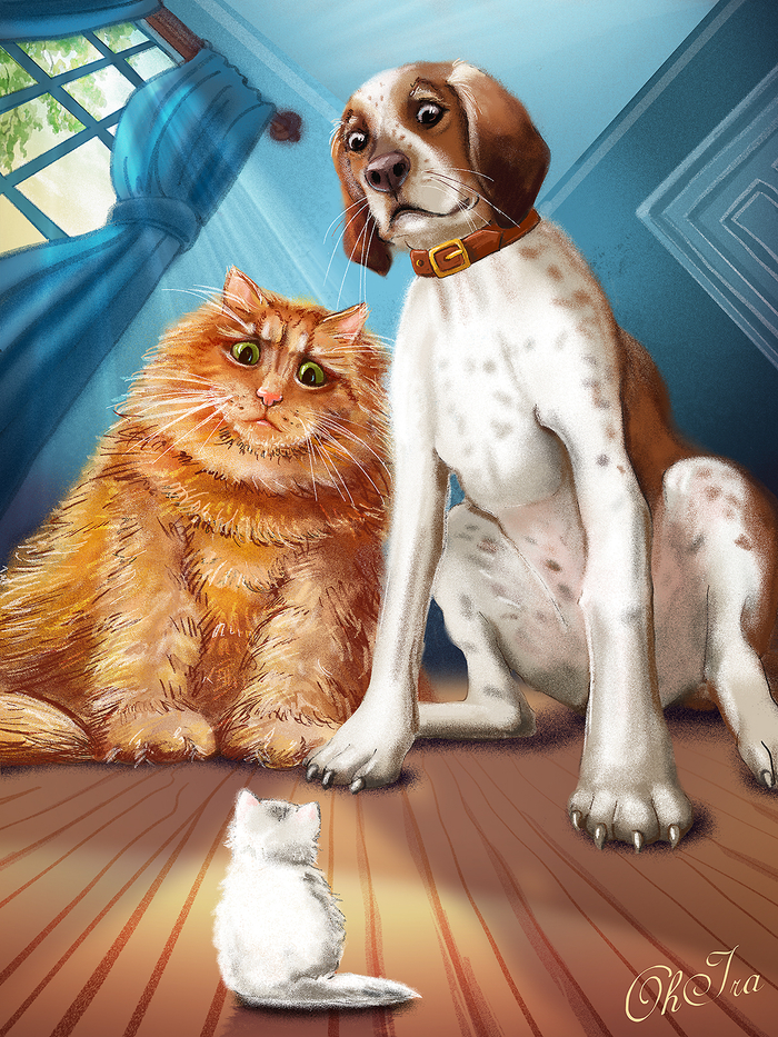 Непридуманные истории. Новенький?