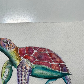 Сказочная черепаха