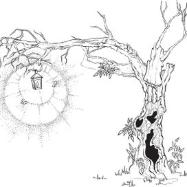 Старое дерево