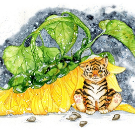 Тигренок на подсолнухе