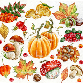 " Осенний клипарт "