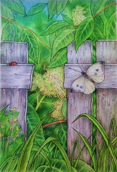 Заброшенный сад