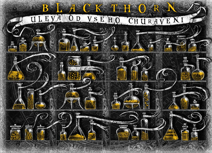 Alchymistova sifra форзац