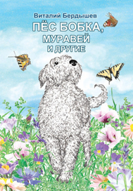 Обложка для книги В. Бердышева