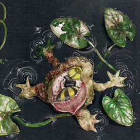 Иллюстрация для сказки "Дюймовочка"