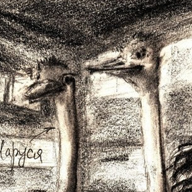  Петрович кланяться велел