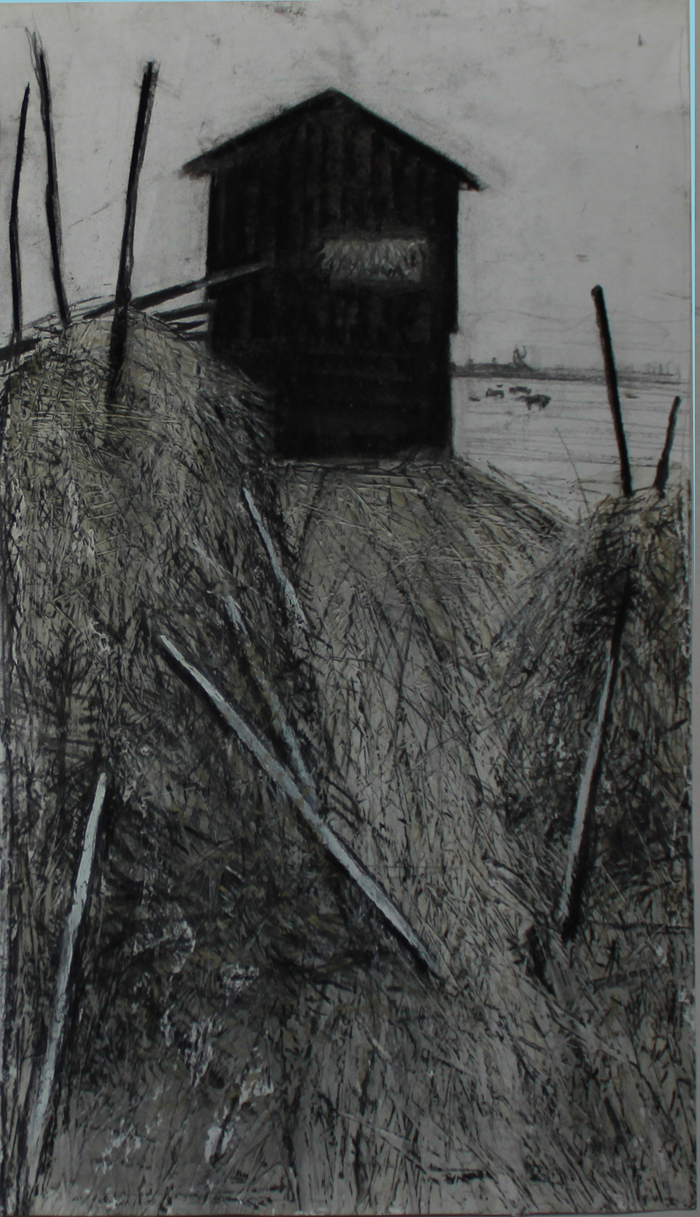 сено. в деревне