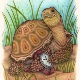 Теперь без опозданий)