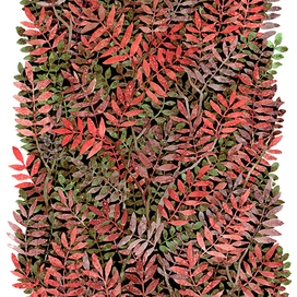 Рябиновая стена