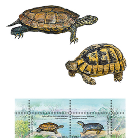 Макет и иллюстрации для почтовой марки