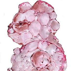 Медвежонок в авторской технике