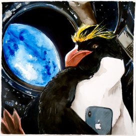 Пингвин-космонавт