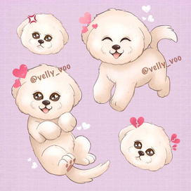 Милая собачка по имени Персик