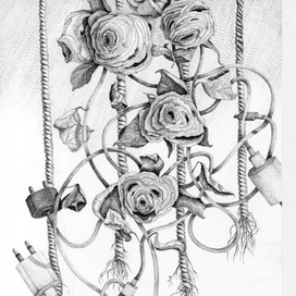 "Розовый" заряд...