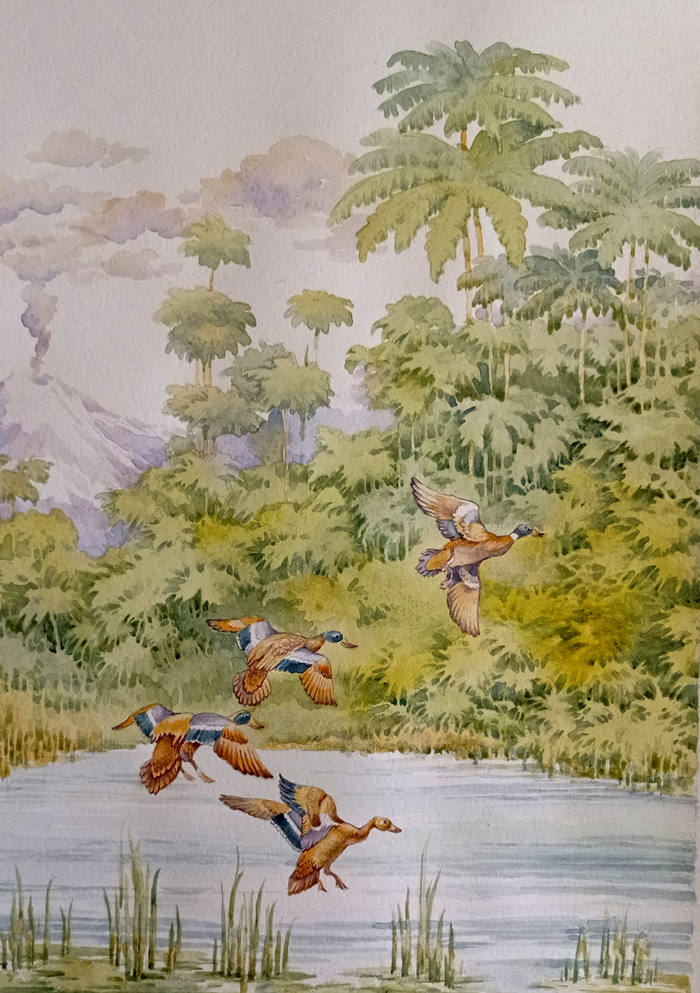 Озеро. Таинственный остров. 