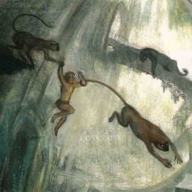 «Маугли» Похищение