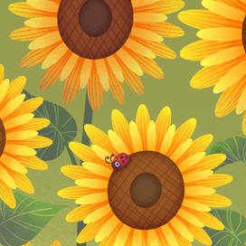 🌻Подсолнухи🌻