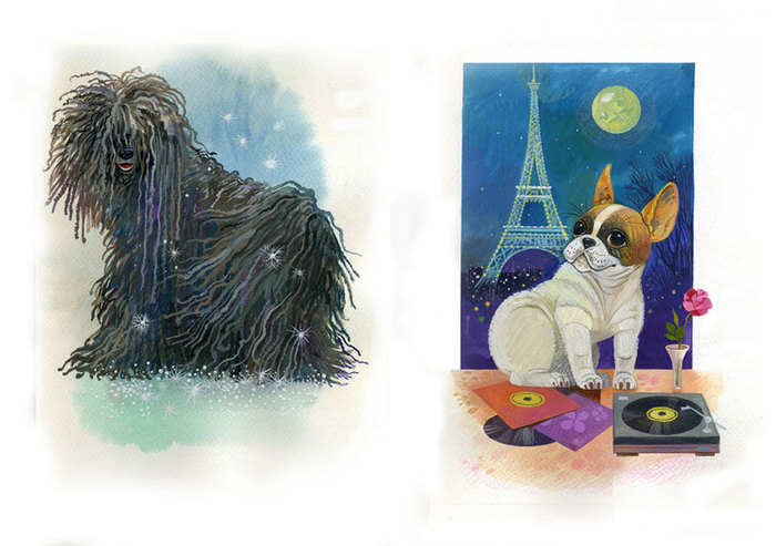 Собака: лохматая и гладкошерстная. Иллюстрация к книге Ю. Солодкина "Собаки"