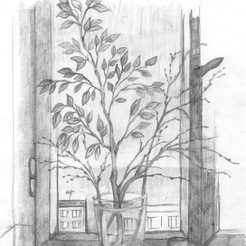 Веточка берёзы