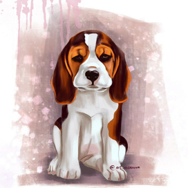 Забери меня домой