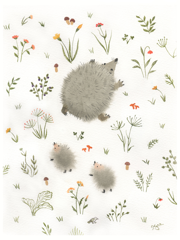 Бег ежей. Акварель.