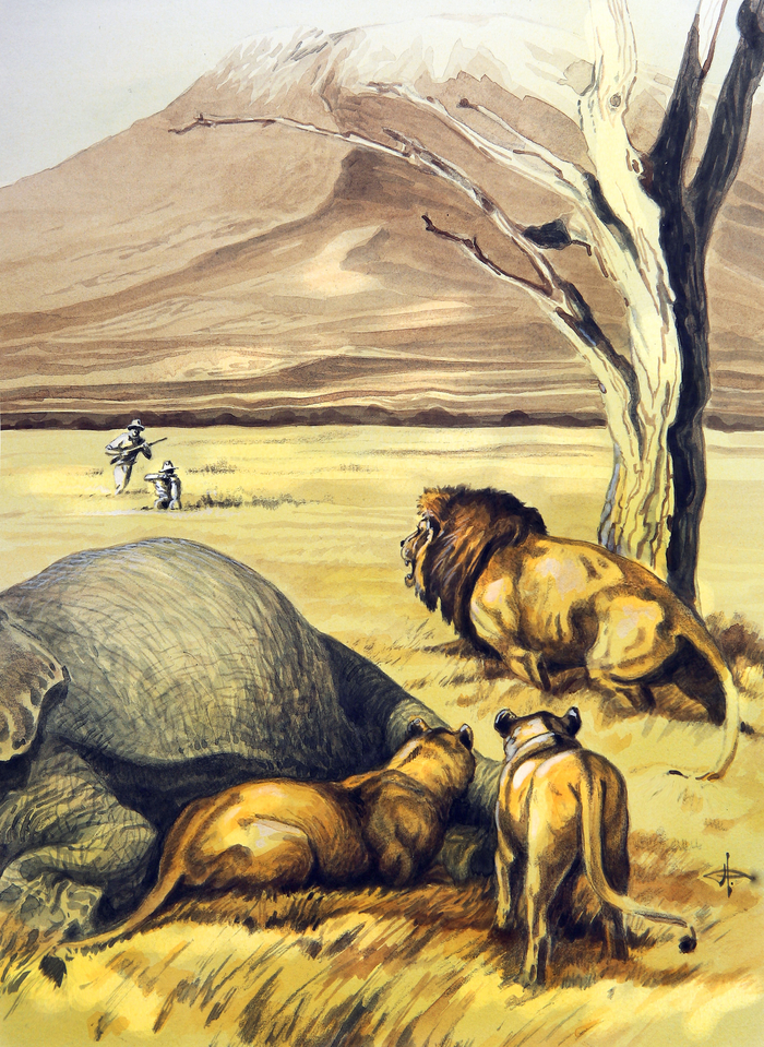 Встреча у трофея.