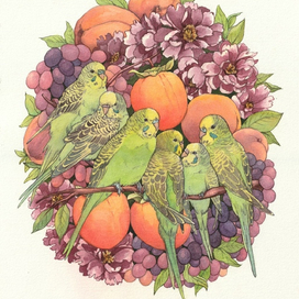 Волнистые попугаи в цветах и фруктах