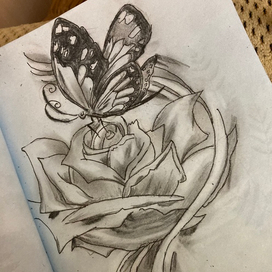 Бобочка на цветке 