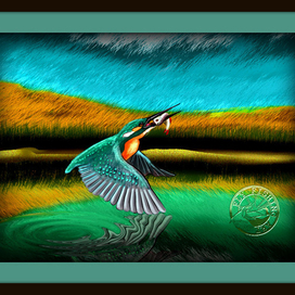 Kingfisher