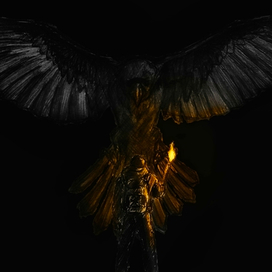 Чёрный ворон