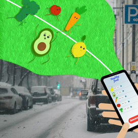 Заказ свежих овощей