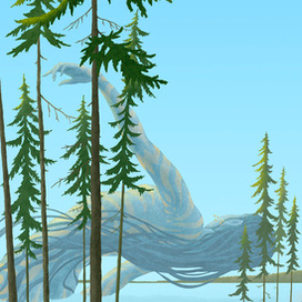 БеС Озера (июнь)