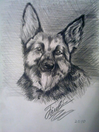 рисунок от руки 