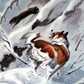 По соболю...